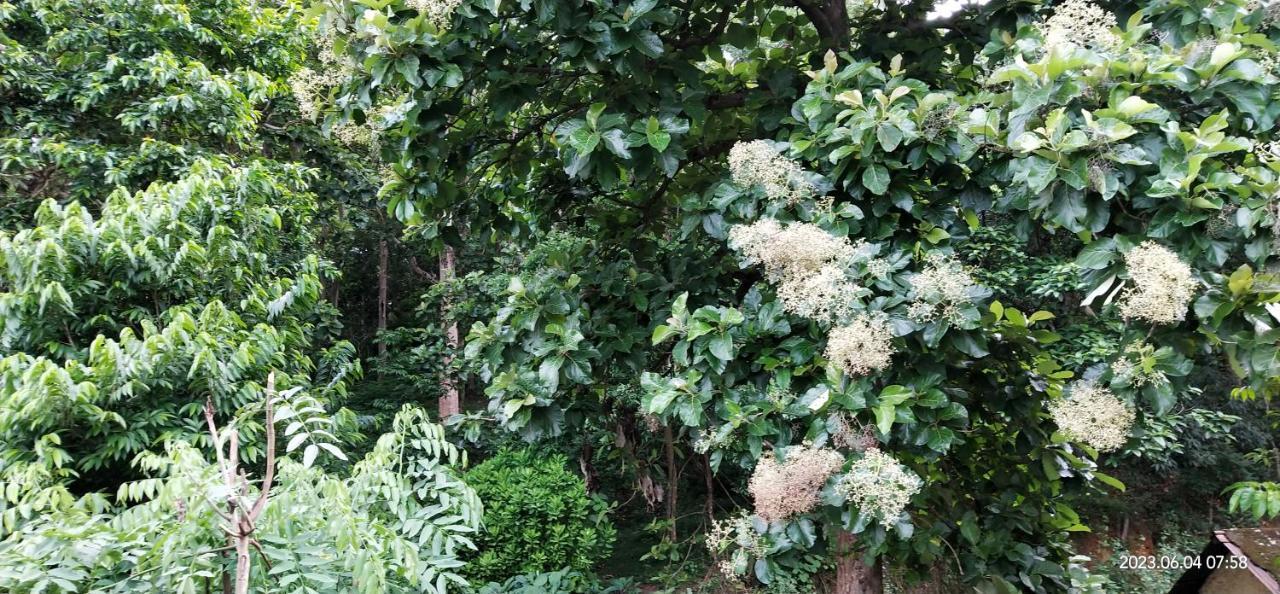 Floral Homestay تيكَدِيْ المظهر الخارجي الصورة