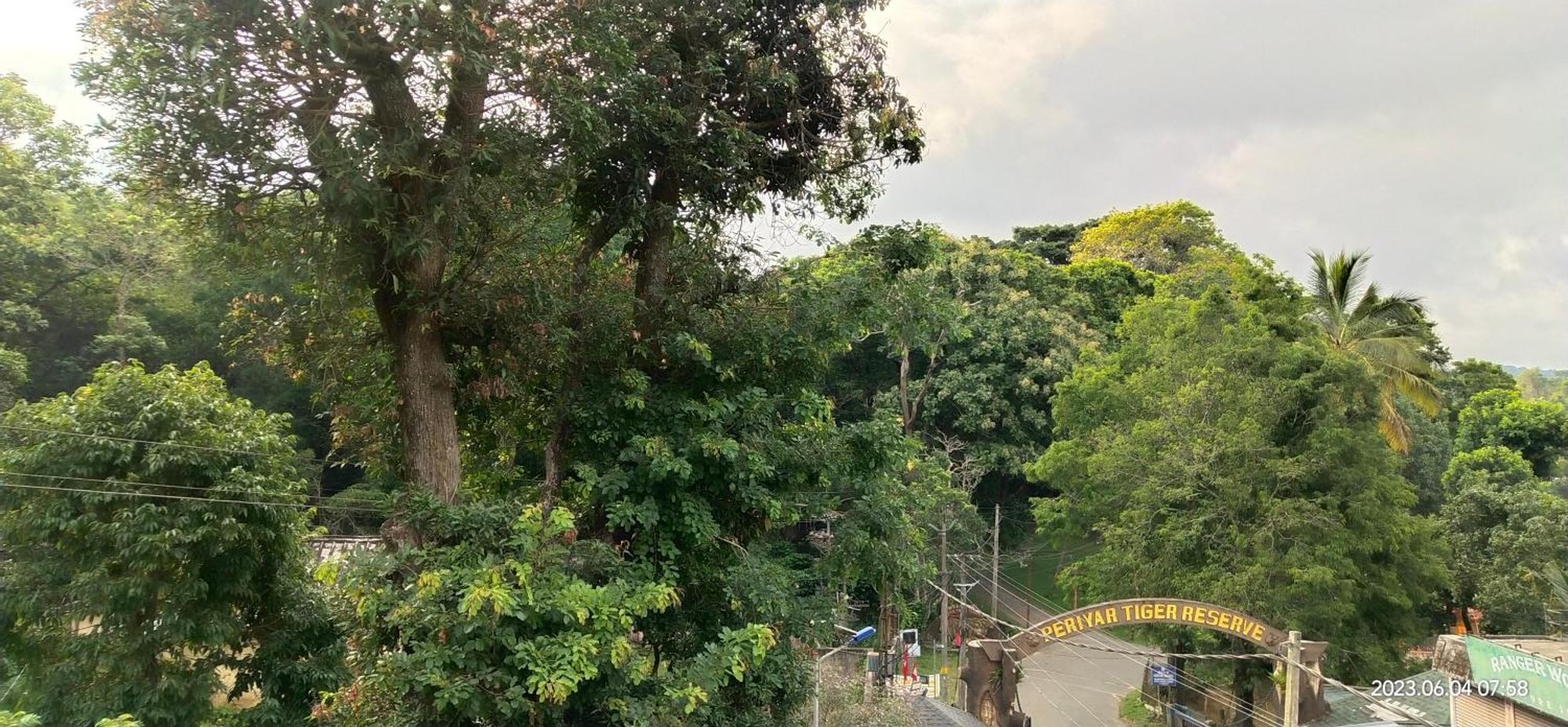 Floral Homestay تيكَدِيْ المظهر الخارجي الصورة